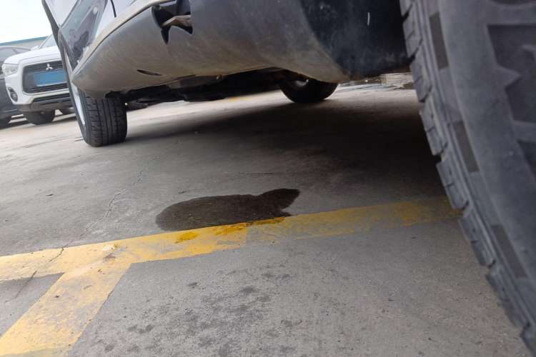 Used BYD S6 2013 Platinum Edition 2.0L Manual Elite Model Left Side Sill