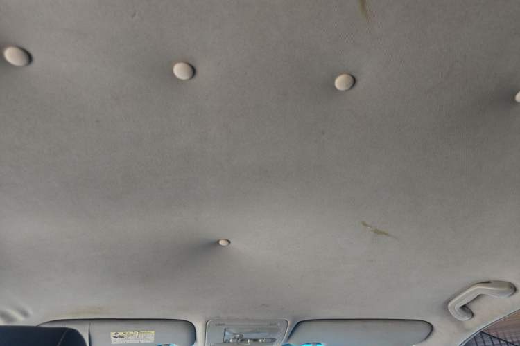 Used BYD S6 2013 Platinum Edition 2.0L Manual Luxury Model Headliner