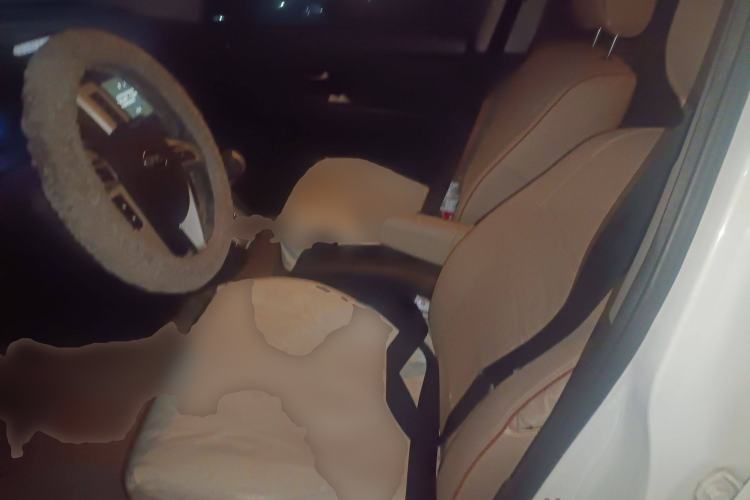 Used BYD S6 2013 Platinum Edition 2.4L Automatic Luxury Model Left Front Seat