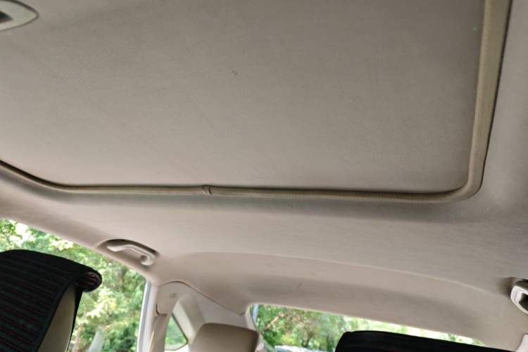 Used BYD S6 2014 2.4L Automatic Flagship 5-Seater Headliner