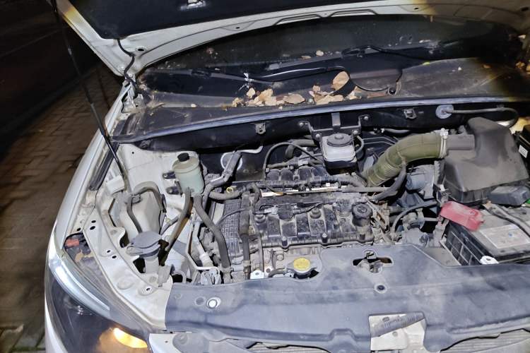 Used BYD S6 2014 2.0L Manual Luxury 5-Seater Engine Bay Right