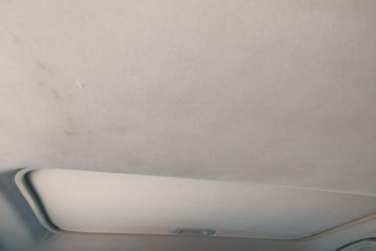 Used BYD S6 2014 2.4L Automatic Prestige 5-Seater Headliner