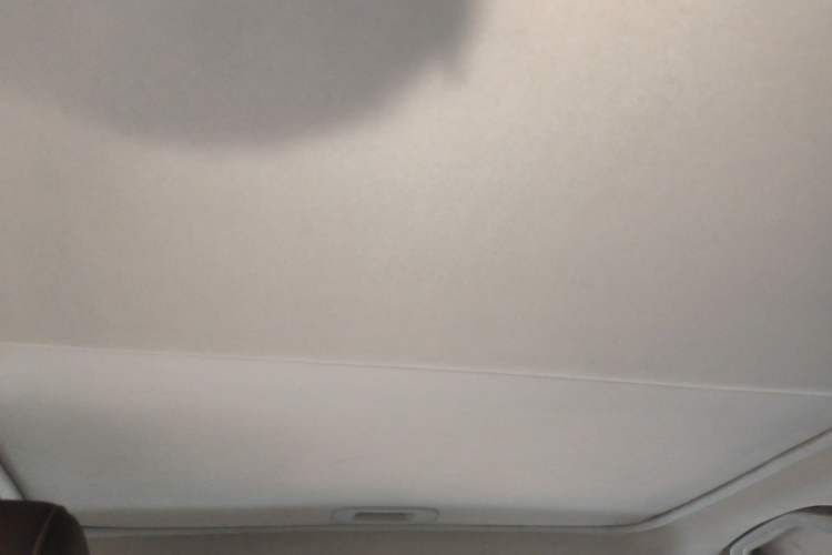 Used BYD S7 2015 2.0T Automatic Prestige Model Headliner