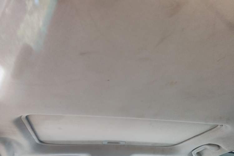 Used BYD S7 2015 2.0T Automatic Prestige Model Headliner