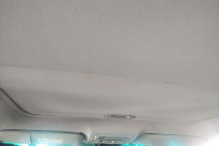 Used BYD S7 2015 2.0T Automatic Prestige Model Headliner