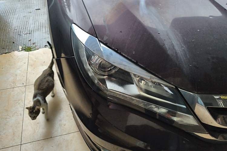 Used BYD S7 2015 1.5T Manual Luxury Model Right Front Headlight