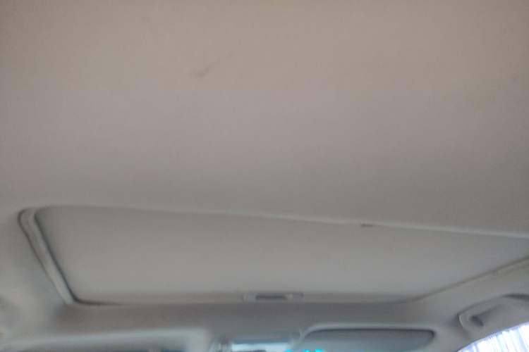 Used BYD S7 2015 1.5T Manual Luxury Model Headliner