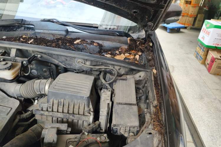 Used BYD S7 2015 2.0T Upgraded Automatic Luxury Version Engine Bay Left