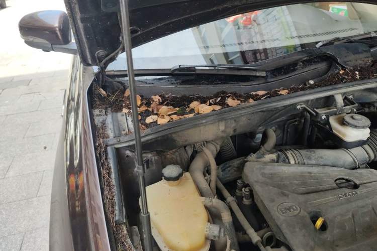 Used BYD S7 2015 2.0T Upgraded Automatic Luxury Version Engine Bay Right