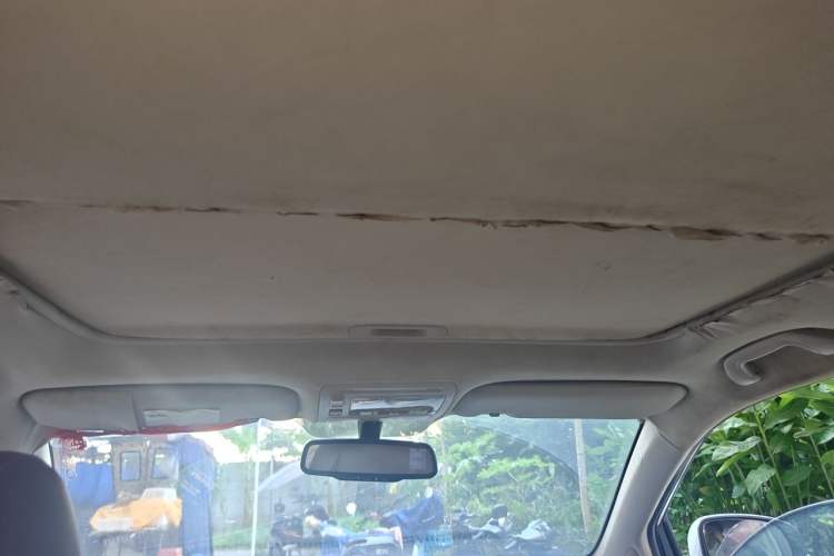 Used BYD S7 2015 2.0T Automatic Prestige Model Headliner