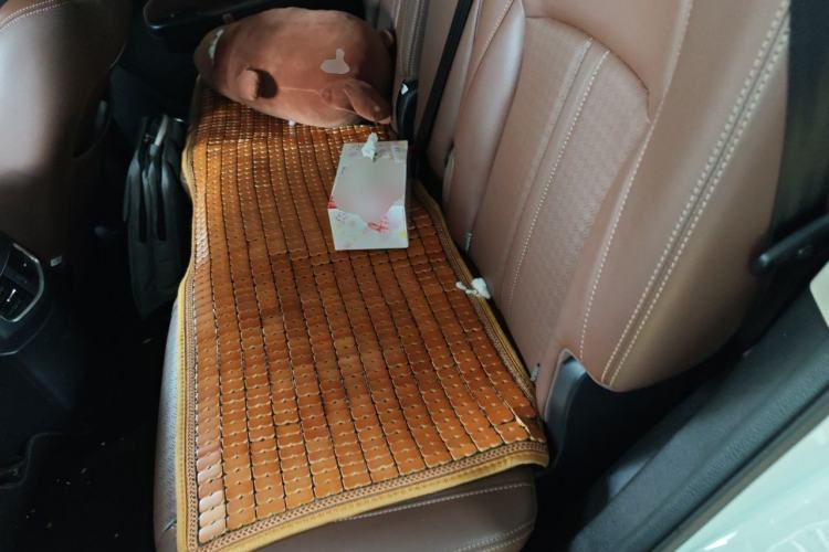 Used BYD S7 2015 1.5T Manual Luxury Model Left Rear Seat