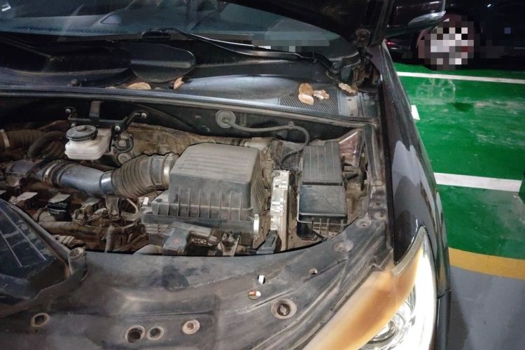 Used BYD S7 2016 2.0T Automatic Prestige Plus Engine Bay Left