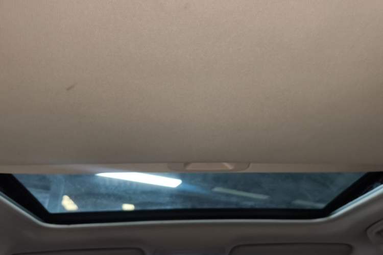 Used BYD S7 2016 2.0T Automatic Prestige Edition Headliner