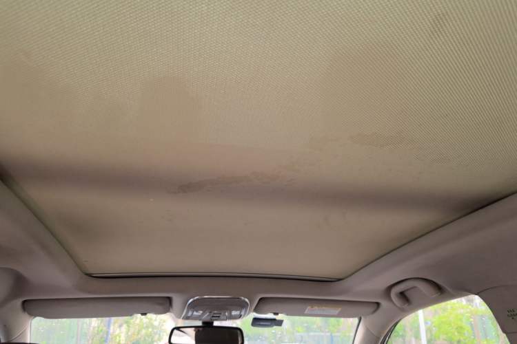 Used BYD S7 2017 2.0T Automatic Prestige Edition Headliner