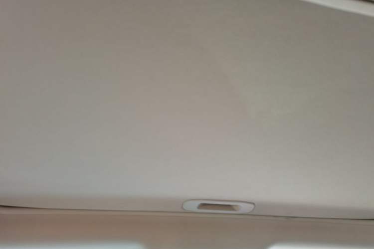 Used BYD S7 2017 2.0T Automatic Luxury Model Headliner