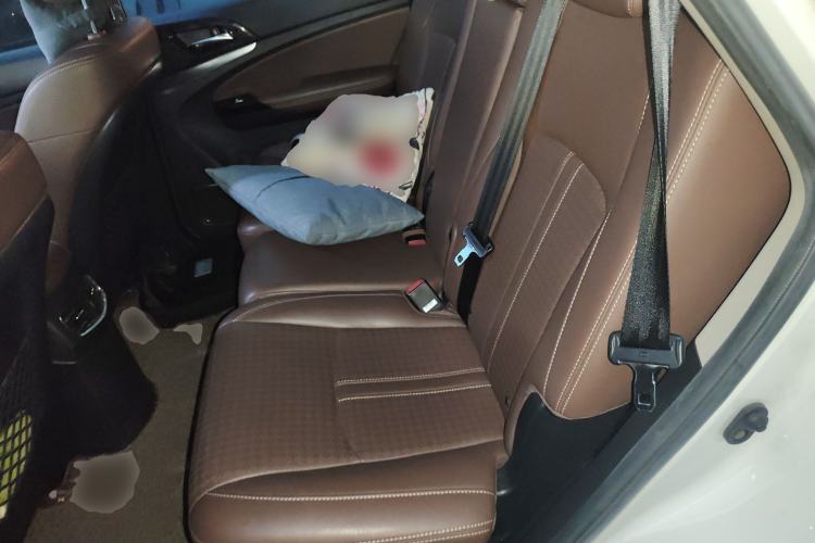 Used BYD S7 2017 2.0T Automatic Luxury Model Left Rear Seat