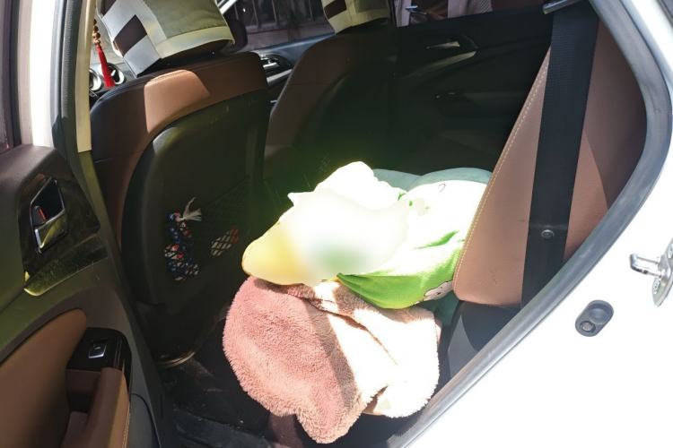 Used BYD S7 2017 2.0T Automatic Prestige Edition Left Rear Seat