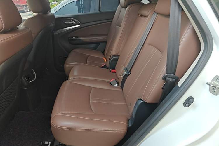 Used BYD S7 2017 2.0T Automatic Luxury Model Left Rear Seat
