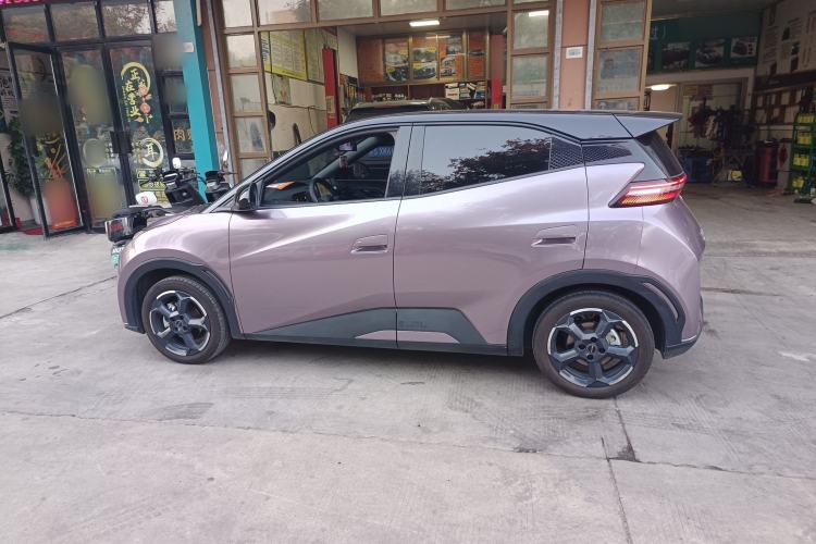 Used BYD Seagull 2023 Flying Edition Left Side