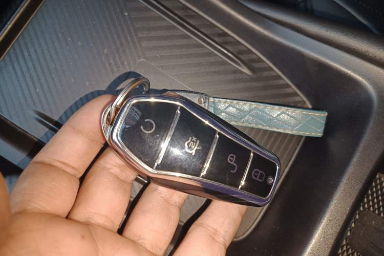 Used BYD Seagull 2023 Flying Edition Vehicle Key