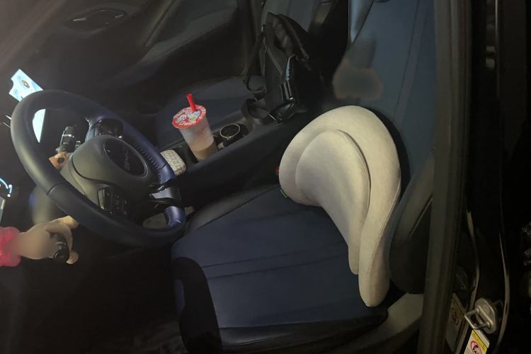 Used BYD Seagull 2023 Flying Edition Left Front Seat