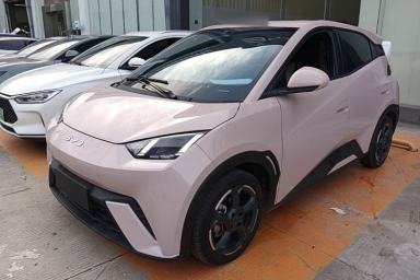 Used BYD Seagull 2023 Flying Edition
