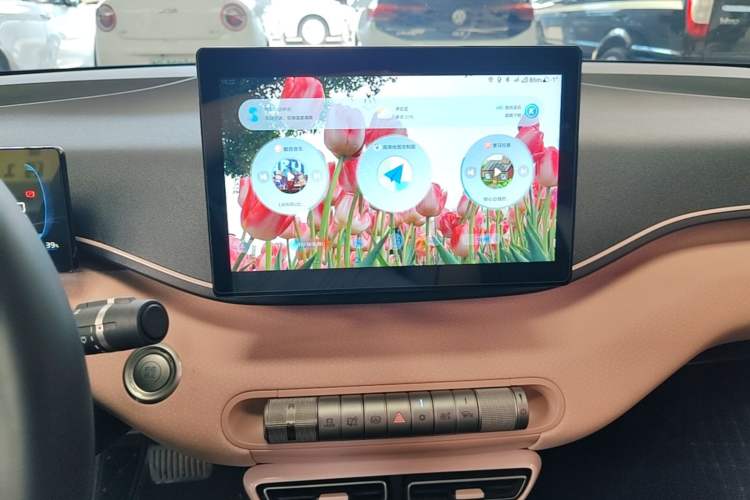 Used BYD Seagull 2023 Free Edition Audio And AC Panel