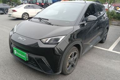 Used BYD Seagull 2023 Flying Edition