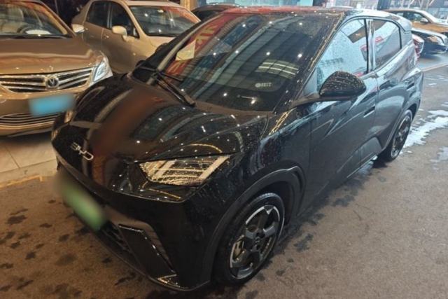 Used BYD Seagull 2023 Free Edition