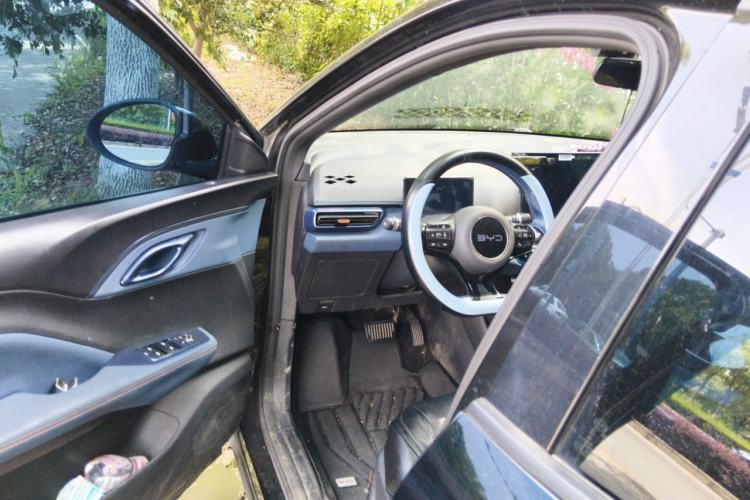 Used BYD Seagull 2023 Flying Edition Driver Seat