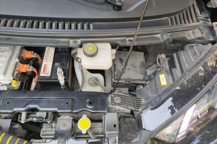 Used BYD Seagull 2023 Flying Edition Engine Bay Left