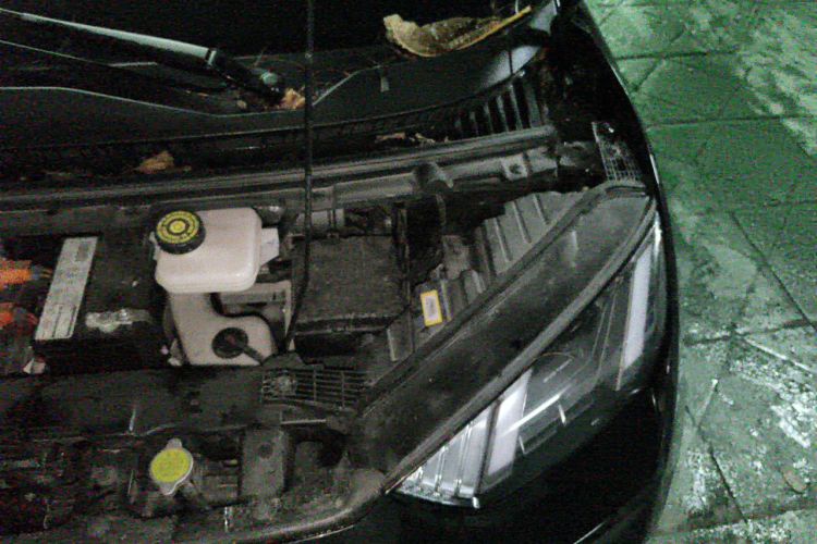 Used BYD Seagull 2023 Flying Edition Engine Bay Left