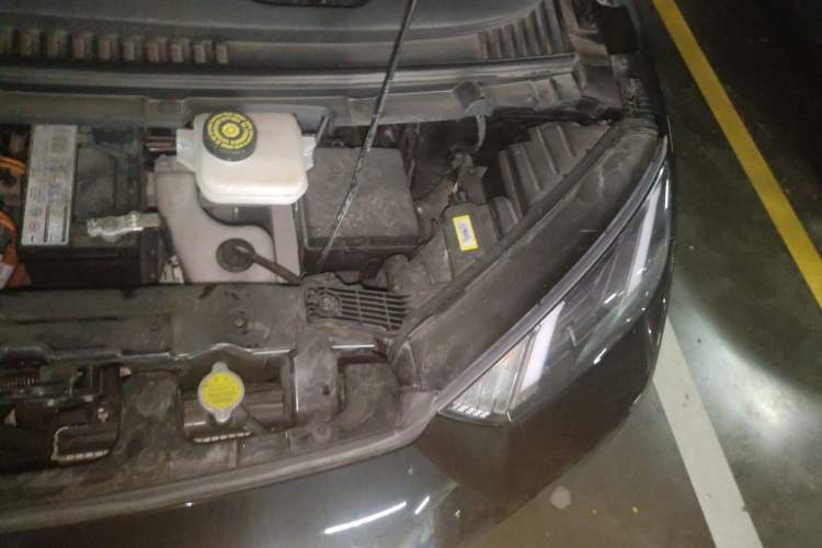 Used BYD Seagull 2023 Free Edition Engine Bay Left