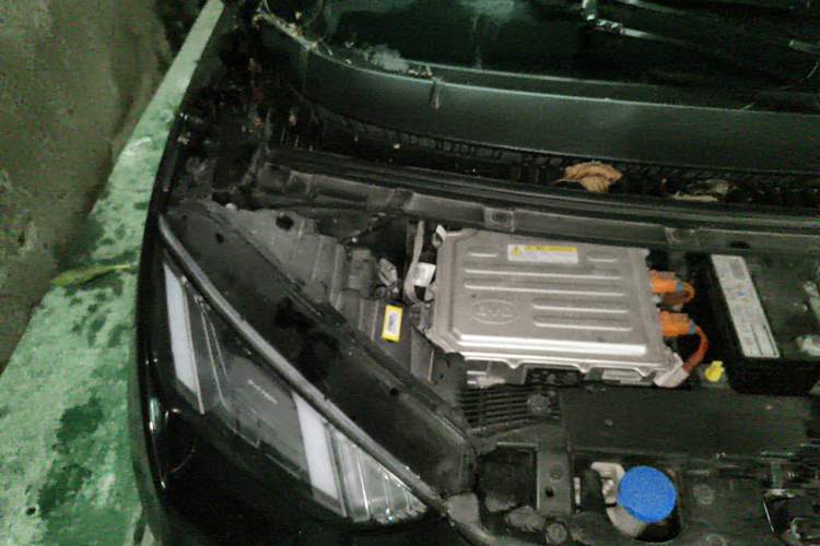 Used BYD Seagull 2023 Flying Edition Engine Bay Right