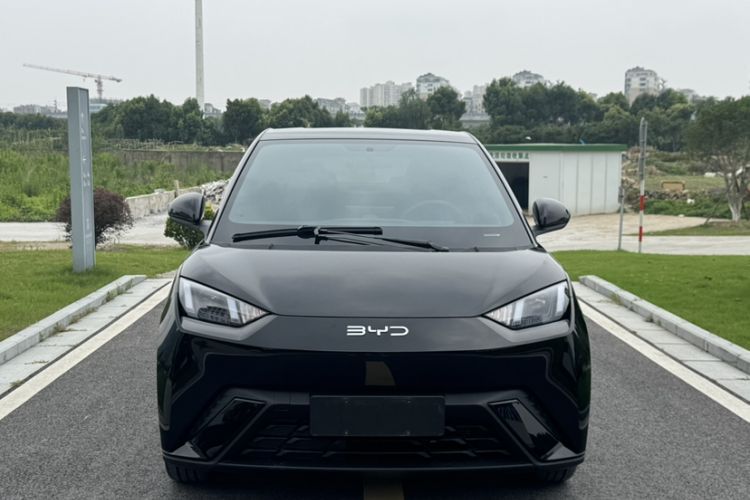 Used BYD Seagull 2023 Flying Edition Exterior 1