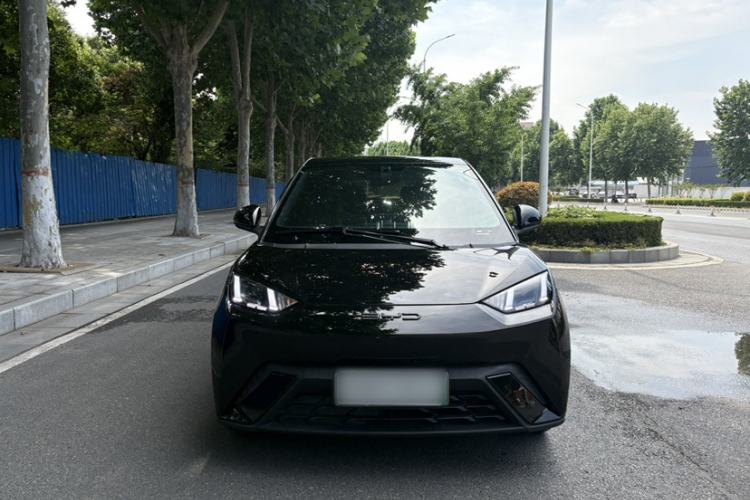 Used BYD Seagull 2023 Flying Edition Exterior 1
