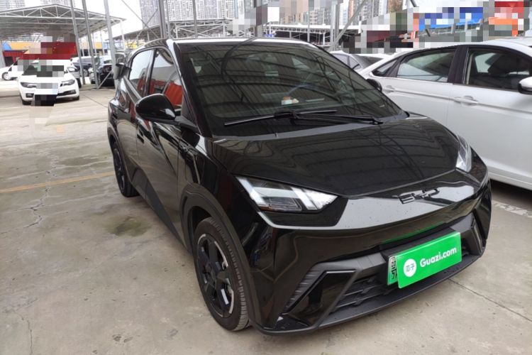 Used BYD Seagull 2023 Flying Edition Exterior 1