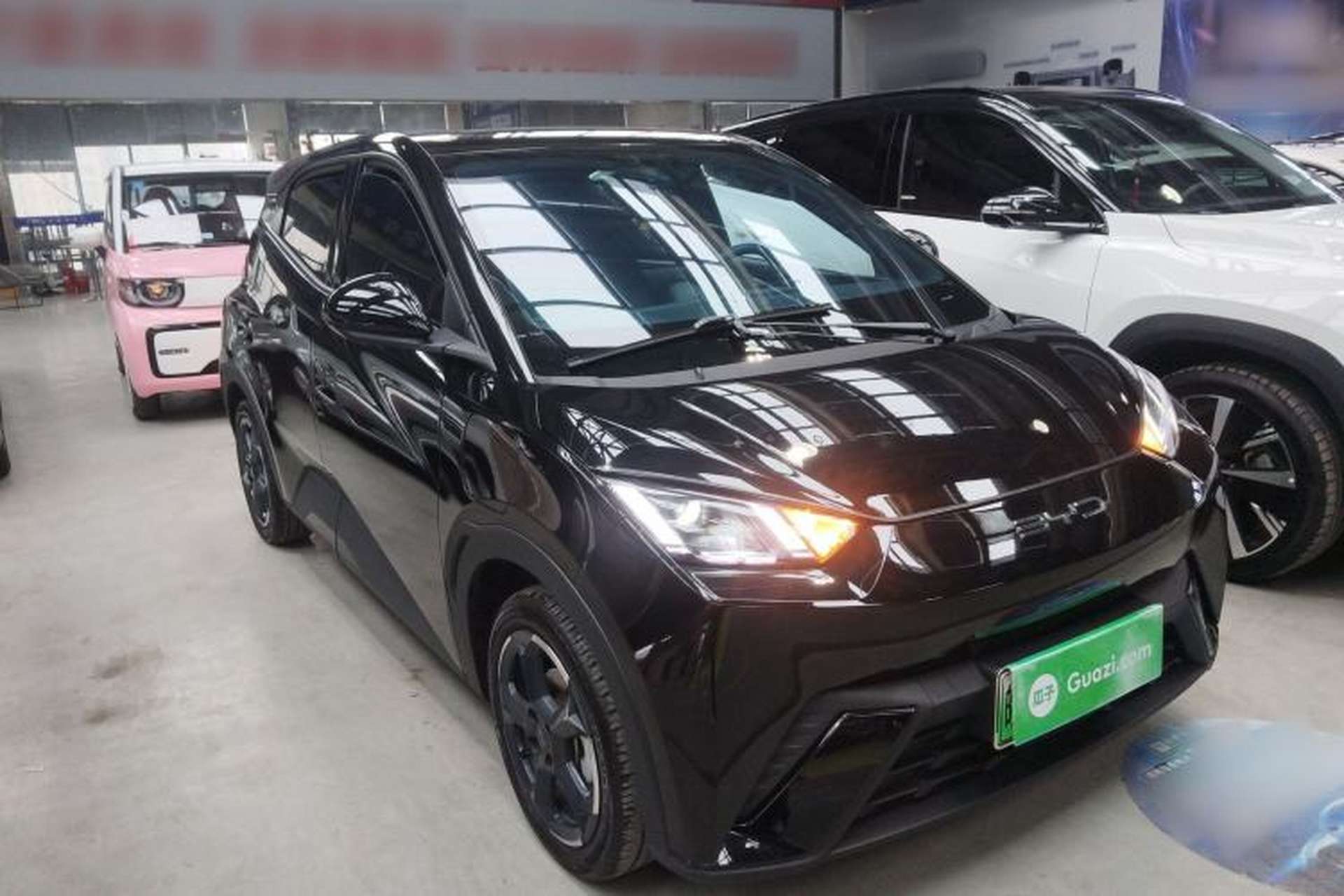 Used BYD Seagull 2023 Free Edition Exterior 1