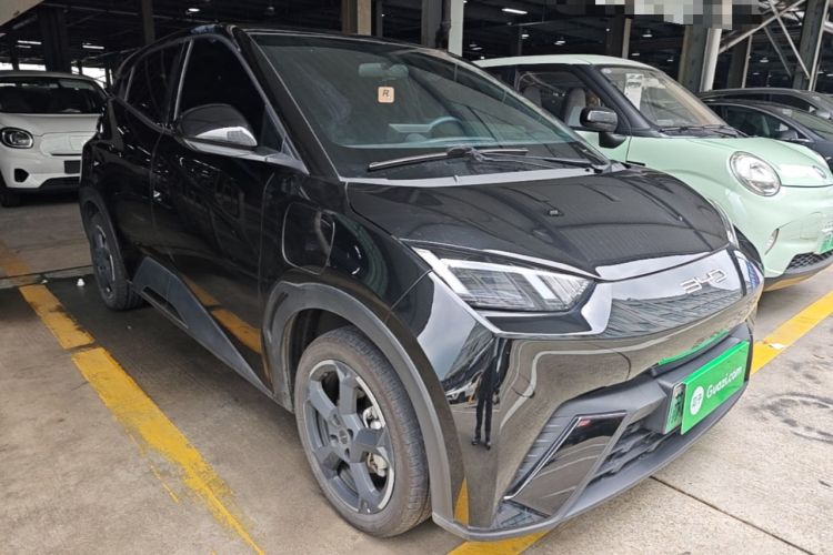 Used BYD Seagull 2023 Free Edition Exterior 1