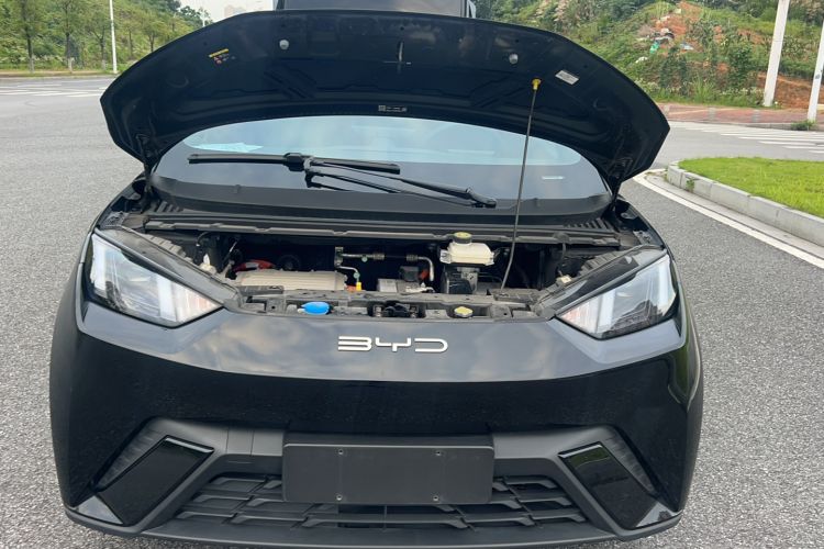 Used BYD Seagull 2023 Free Edition Exterior 11