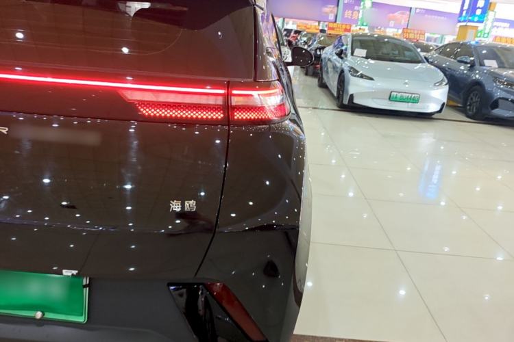 Used BYD Seagull 2023 Flying Edition Exterior 3
