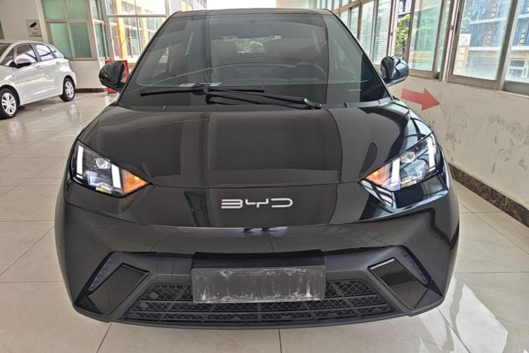 Used BYD Seagull 2023 Free Edition Front