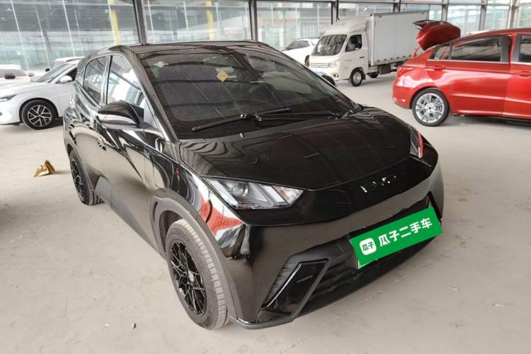 Used BYD Seagull 2023 Active Version Front Right 45 Deg
