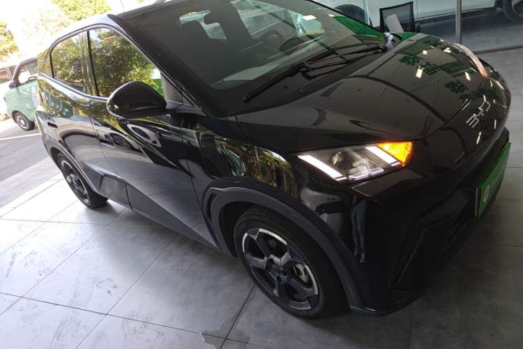 Used BYD Seagull 2023 Free Edition Front Right 45 Deg