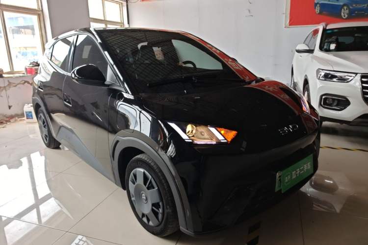 Used BYD Seagull 2023 Active Version Front Right 45 Deg