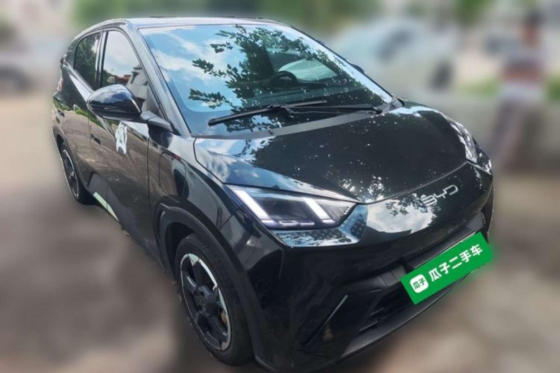 Used BYD Seagull 2023 Free Edition Front Right 45 Deg