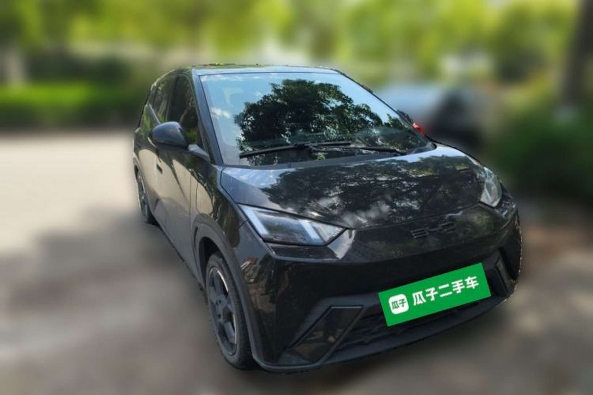 Used BYD Seagull 2023 Free Edition Front Right 45 Deg