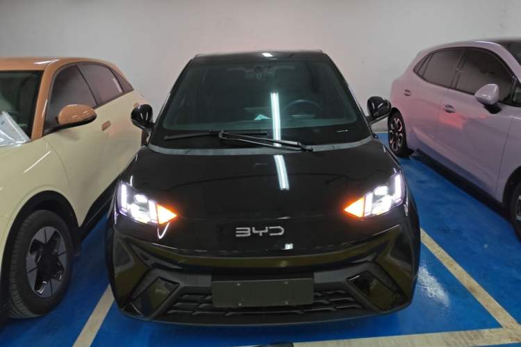 Used BYD Seagull 2023 Flying Edition Front
