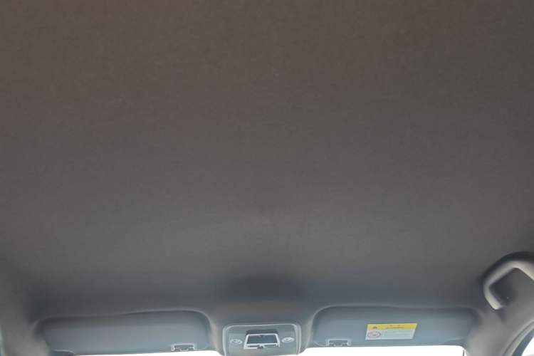 Used BYD Seagull 2023 Free Edition Headliner