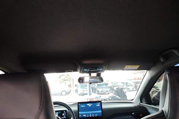 Used BYD Seagull 2023 Flying Edition Headliner